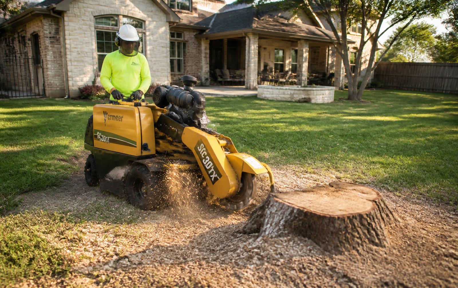 Worker in protective equipment operating a stump grinder on a tree stump in a San Antonio back yard